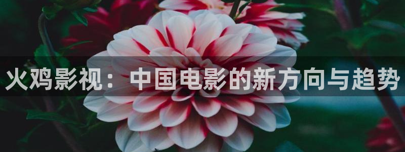 国产成年天天5g影院在线观看免费