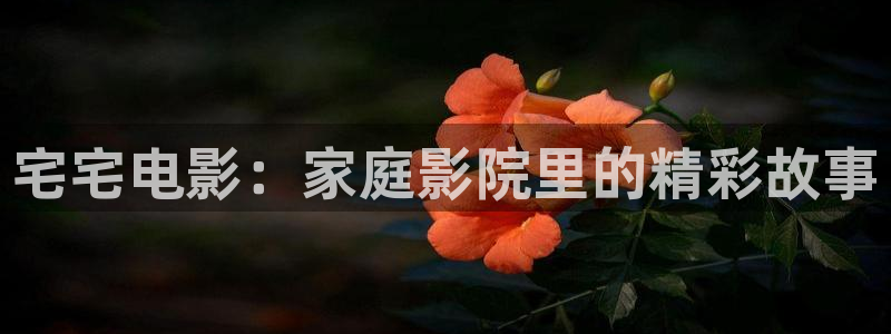 天天影院图片另类：宅宅电影：家庭影院里的精彩故事