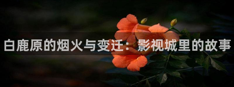 5g影院天天5g天天爽精品：白鹿原的烟火与变迁：影视城里的故事